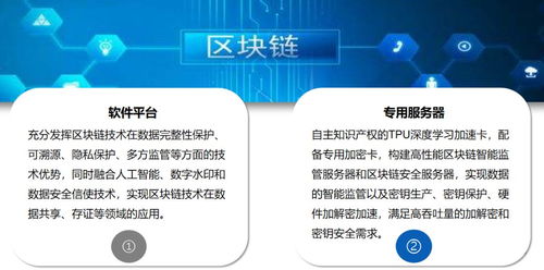 中央一號文件 科技賦能農業(yè)，第五代網絡技術與人工智能物聯(lián)網引領新時代農業(yè)網站建設